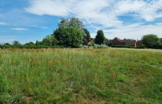 Land - No PP for sale in Worton photo